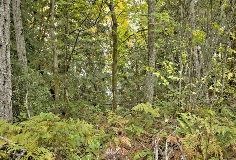 391 X North Island, Shelton, Washington 98584, ,Land,For Sale,North Island,NWM1853276