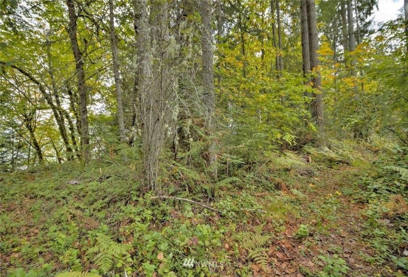 391 X North Island, Shelton, Washington 98584, ,Land,For Sale,North Island,NWM1853276