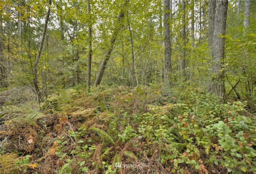 391 X North Island, Shelton, Washington 98584, ,Land,For Sale,North Island,NWM1853276