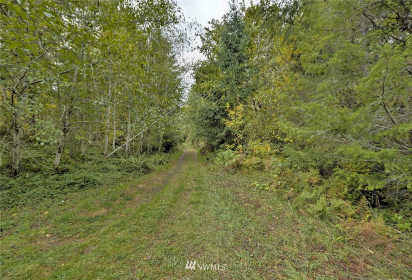 391 X North Island, Shelton, Washington 98584, ,Land,For Sale,North Island,NWM1853276