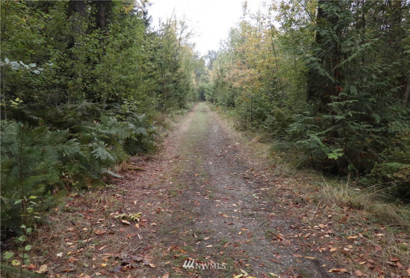 391 X North Island, Shelton, Washington 98584, ,Land,For Sale,North Island,NWM1853276