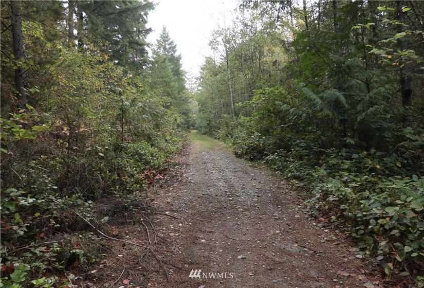 391 X North Island, Shelton, Washington 98584, ,Land,For Sale,North Island,NWM1853276