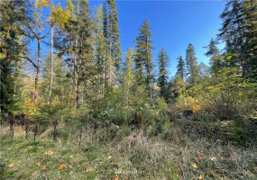 453 Rice Lake, Quilcene, Washington 98376, ,Land,For Sale,Rice Lake,NWM1852801