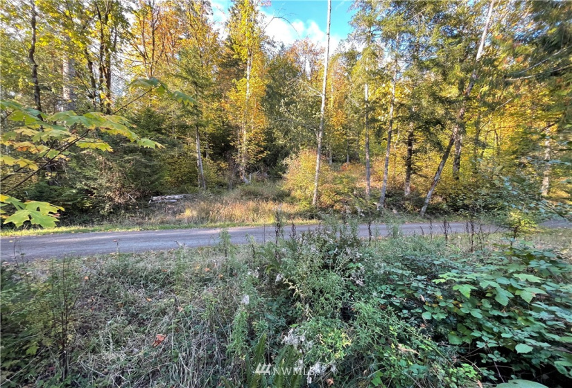 453 Rice Lake, Quilcene, Washington 98376, ,Land,For Sale,Rice Lake,NWM1852801