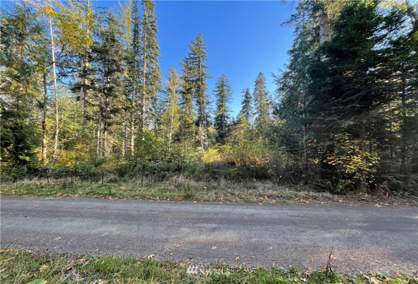 453 Rice Lake, Quilcene, Washington 98376, ,Land,For Sale,Rice Lake,NWM1852801