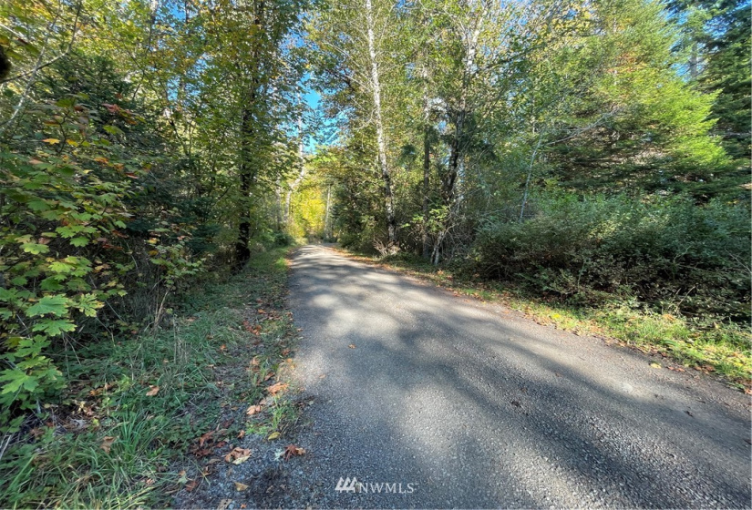 453 Rice Lake, Quilcene, Washington 98376, ,Land,For Sale,Rice Lake,NWM1852801
