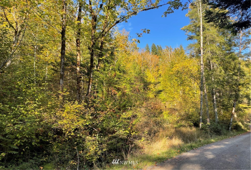 453 Rice Lake, Quilcene, Washington 98376, ,Land,For Sale,Rice Lake,NWM1852801