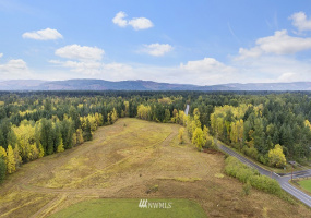 13920 Bald Hill, Yelm, Washington 98597, ,Land,For Sale,Bald Hill,NWM1853107