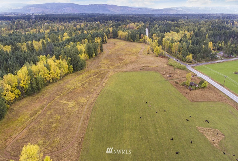 13920 Bald Hill, Yelm, Washington 98597, ,Land,For Sale,Bald Hill,NWM1853107