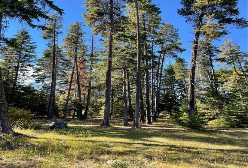 730 Tall Pines, Cle Elum, Washington 98922, 2 Bedrooms Bedrooms, ,1 BathroomBathrooms,Residential,For Sale,Tall Pines,NWM1853473