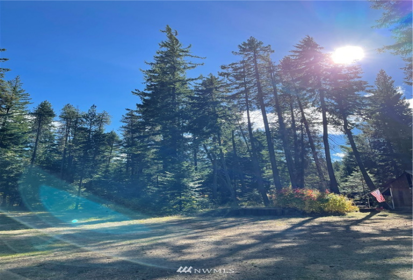 730 Tall Pines, Cle Elum, Washington 98922, 2 Bedrooms Bedrooms, ,1 BathroomBathrooms,Residential,For Sale,Tall Pines,NWM1853473