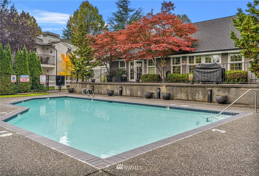 15415 35th, Lynnwood, Washington 98087, 2 Bedrooms Bedrooms, ,2 BathroomsBathrooms,Residential,For Sale,35th,NWM1852840