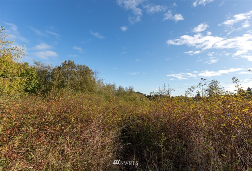 9999 Meadow Ridge, Port Angeles, Washington 98362, ,Land,For Sale,Meadow Ridge,NWM1853133