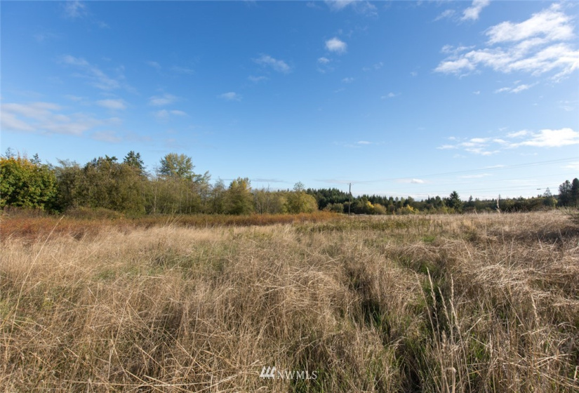 9999 Meadow Ridge, Port Angeles, Washington 98362, ,Land,For Sale,Meadow Ridge,NWM1853133
