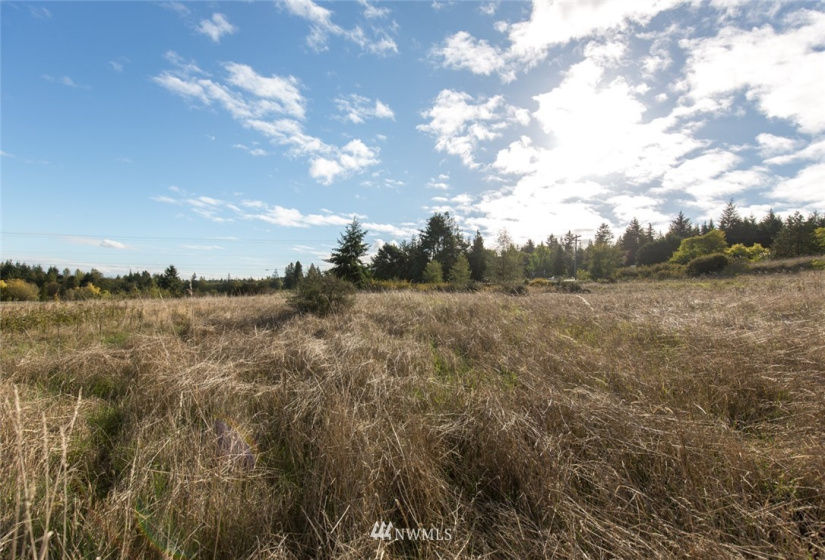 9999 Meadow Ridge, Port Angeles, Washington 98362, ,Land,For Sale,Meadow Ridge,NWM1853133