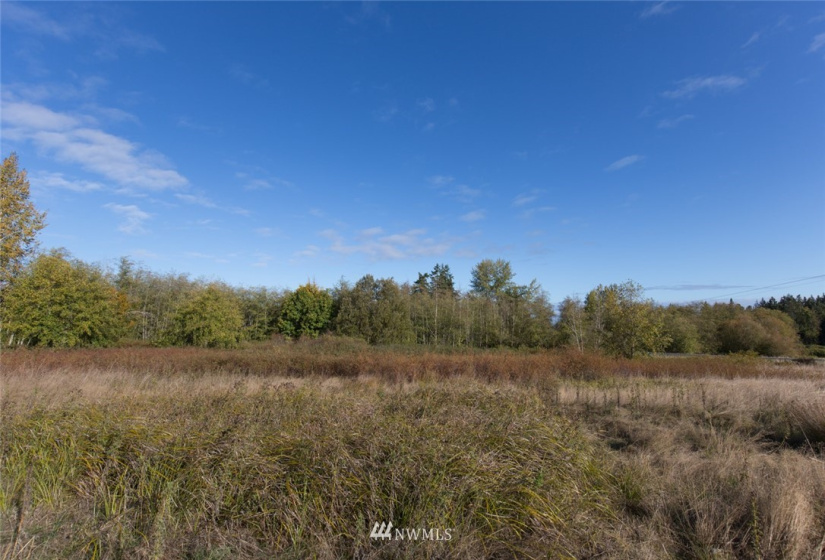 9999 Meadow Ridge, Port Angeles, Washington 98362, ,Land,For Sale,Meadow Ridge,NWM1853133