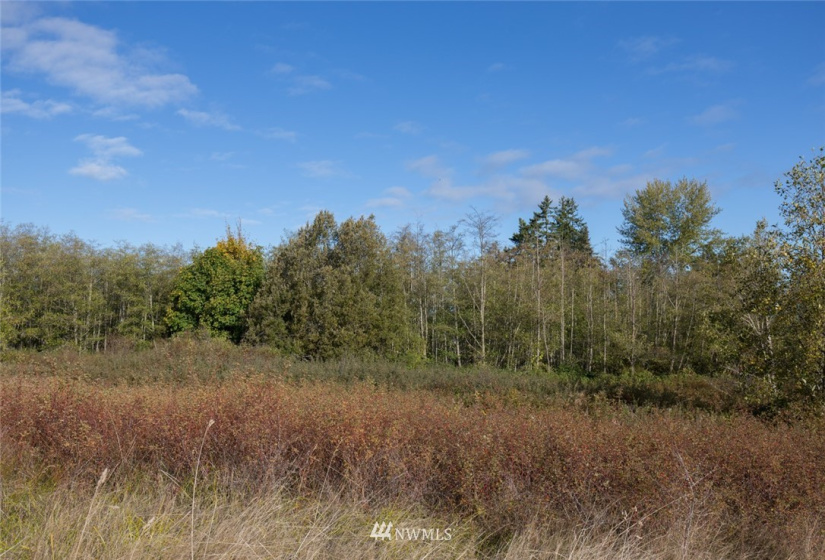 9999 Meadow Ridge, Port Angeles, Washington 98362, ,Land,For Sale,Meadow Ridge,NWM1853133