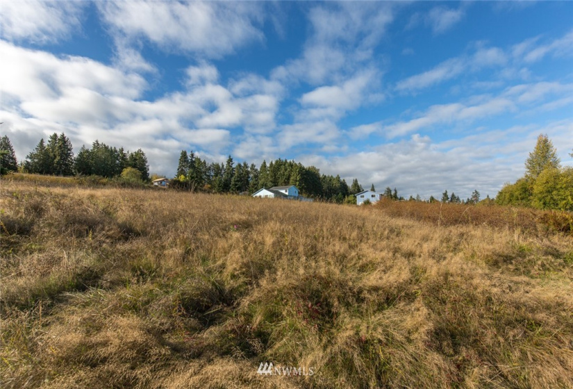 9999 Meadow Ridge, Port Angeles, Washington 98362, ,Land,For Sale,Meadow Ridge,NWM1853133