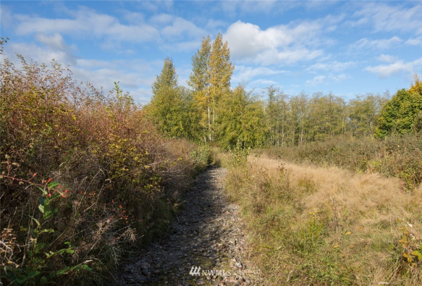 9999 Meadow Ridge, Port Angeles, Washington 98362, ,Land,For Sale,Meadow Ridge,NWM1853133