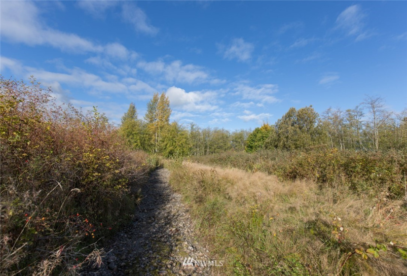 9999 Meadow Ridge, Port Angeles, Washington 98362, ,Land,For Sale,Meadow Ridge,NWM1853133