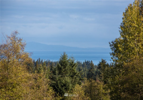 9999 Meadow Ridge, Port Angeles, Washington 98362, ,Land,For Sale,Meadow Ridge,NWM1853133