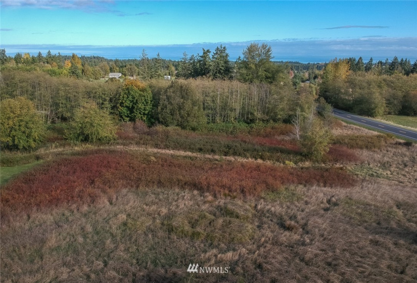 9999 Meadow Ridge, Port Angeles, Washington 98362, ,Land,For Sale,Meadow Ridge,NWM1853133