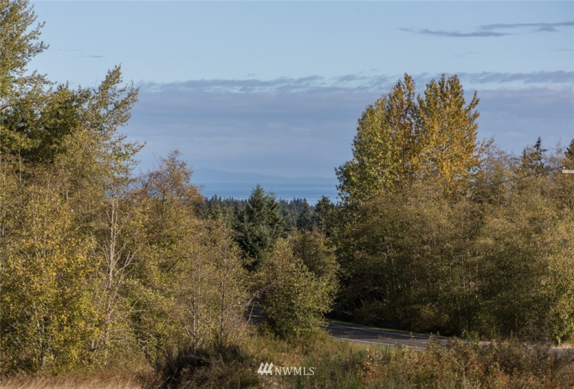 9999 Meadow Ridge, Port Angeles, Washington 98362, ,Land,For Sale,Meadow Ridge,NWM1853133