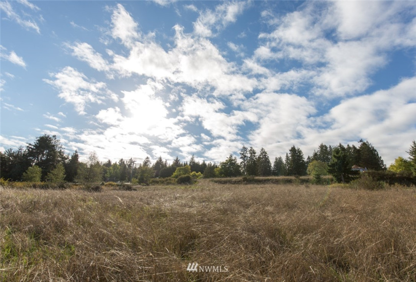 9999 Meadow Ridge, Port Angeles, Washington 98362, ,Land,For Sale,Meadow Ridge,NWM1853133
