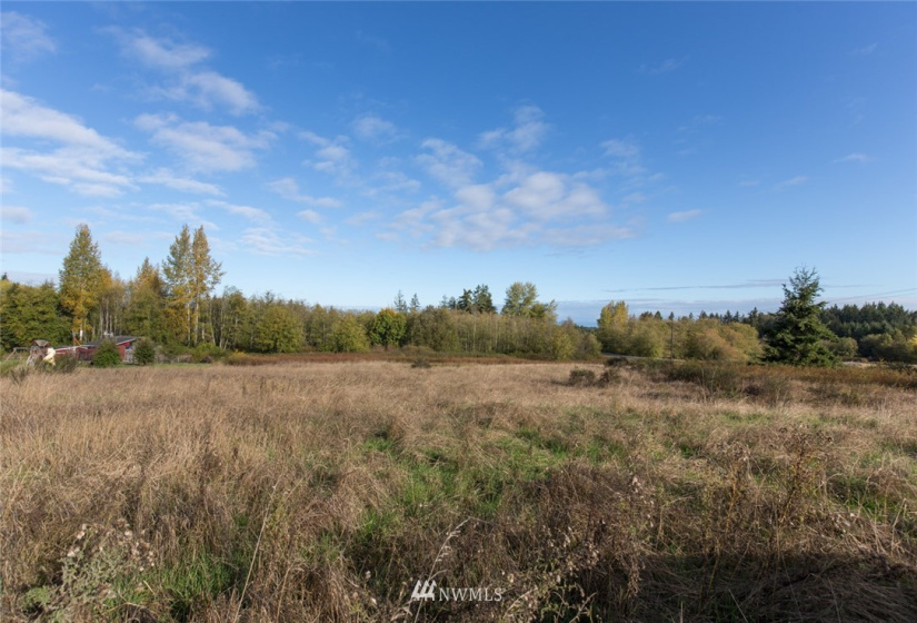 9999 Meadow Ridge, Port Angeles, Washington 98362, ,Land,For Sale,Meadow Ridge,NWM1853133