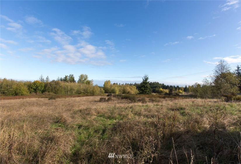 9999 Meadow Ridge, Port Angeles, Washington 98362, ,Land,For Sale,Meadow Ridge,NWM1853133
