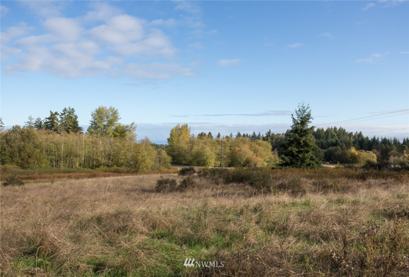 9999 Meadow Ridge, Port Angeles, Washington 98362, ,Land,For Sale,Meadow Ridge,NWM1853133
