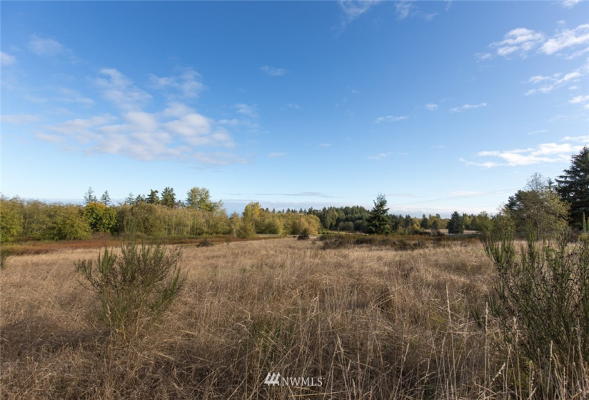 9999 Meadow Ridge, Port Angeles, Washington 98362, ,Land,For Sale,Meadow Ridge,NWM1853133