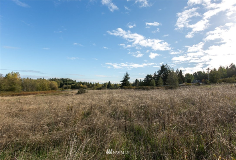 9999 Meadow Ridge, Port Angeles, Washington 98362, ,Land,For Sale,Meadow Ridge,NWM1853133