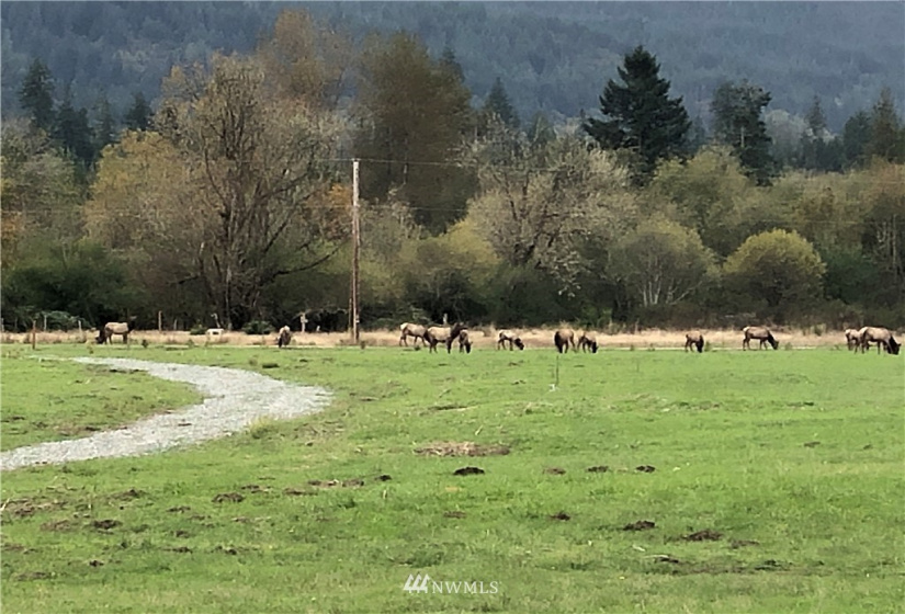 78 Lot K River Ranch, Randle, Washington 98377, ,Land,For Sale,River Ranch,NWM1853643