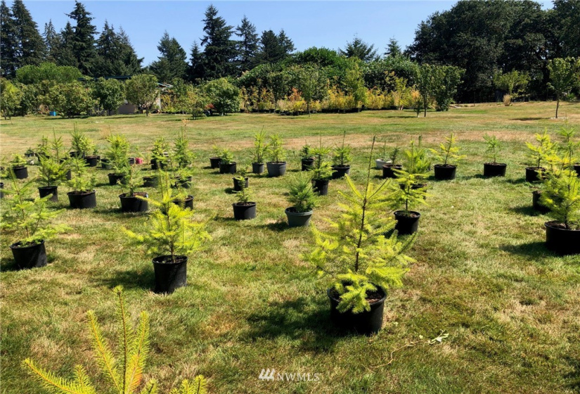 78 Lot K River Ranch, Randle, Washington 98377, ,Land,For Sale,River Ranch,NWM1853643