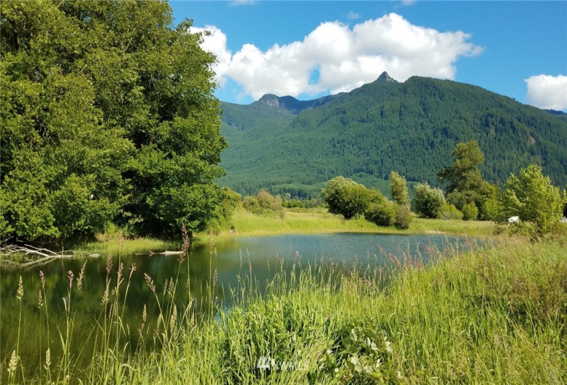78 Lot K River Ranch, Randle, Washington 98377, ,Land,For Sale,River Ranch,NWM1853643