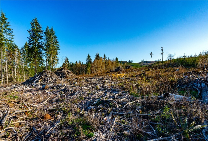 3899 State Route 6, Chehalis, Washington 98532, ,Land,For Sale,State Route 6,NWM1853097