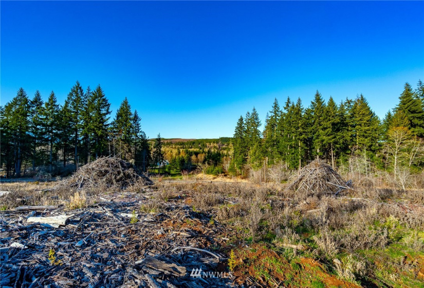 3899 State Route 6, Chehalis, Washington 98532, ,Land,For Sale,State Route 6,NWM1853097