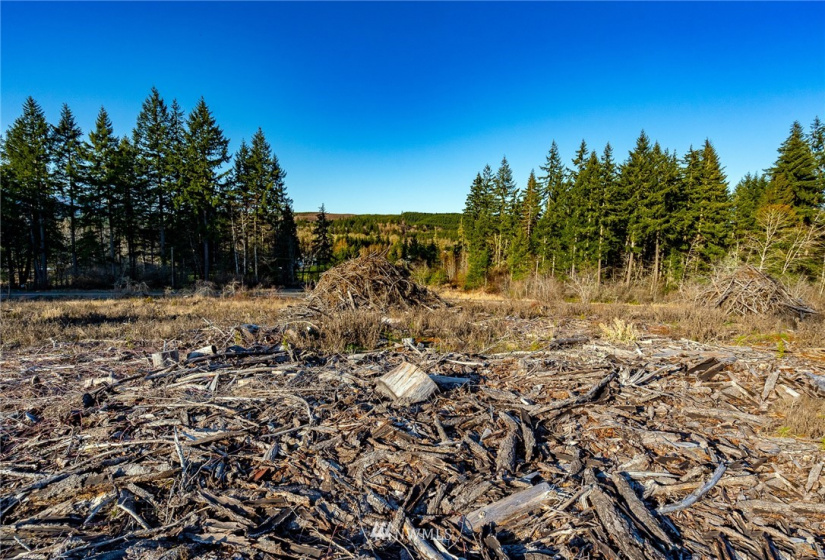 3899 State Route 6, Chehalis, Washington 98532, ,Land,For Sale,State Route 6,NWM1853097