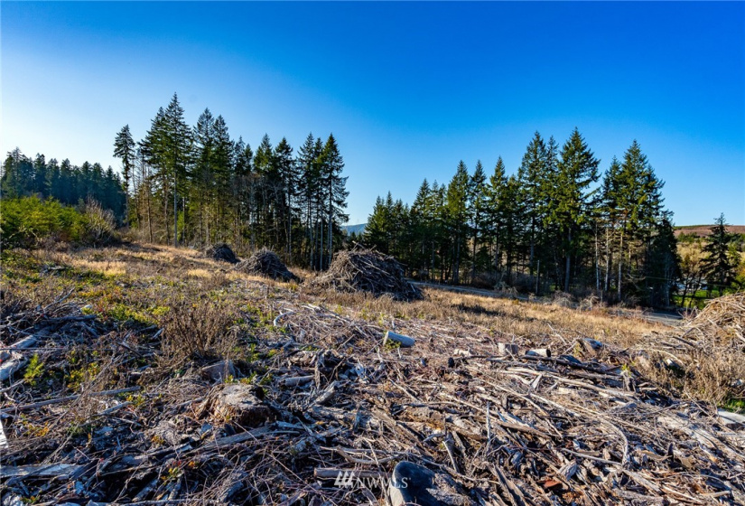 3899 State Route 6, Chehalis, Washington 98532, ,Land,For Sale,State Route 6,NWM1853097