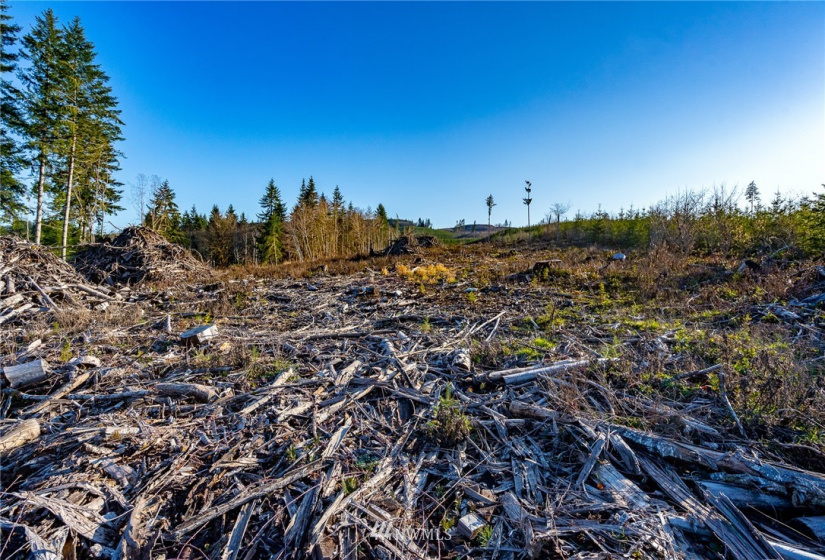 3899 State Route 6, Chehalis, Washington 98532, ,Land,For Sale,State Route 6,NWM1853097