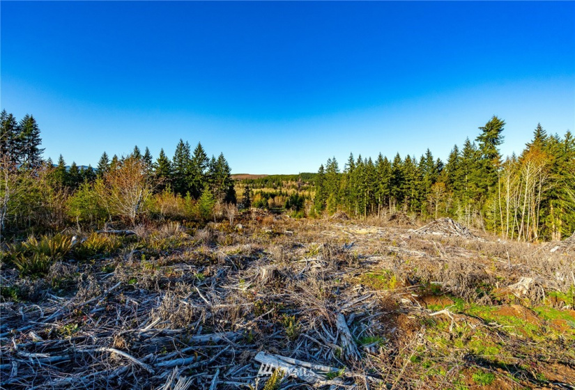 3899 State Route 6, Chehalis, Washington 98532, ,Land,For Sale,State Route 6,NWM1853097