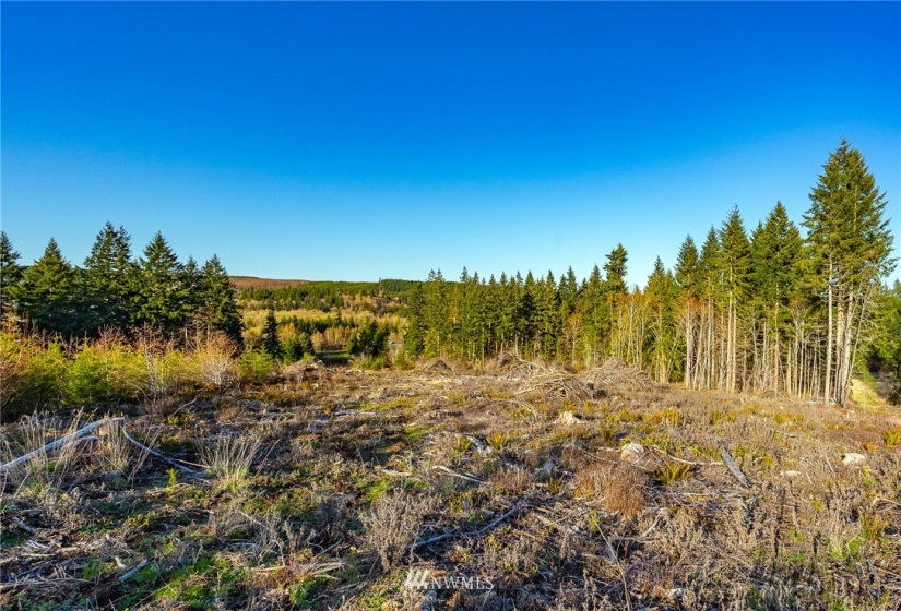 3899 State Route 6, Chehalis, Washington 98532, ,Land,For Sale,State Route 6,NWM1853097
