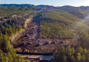 3899 State Route 6, Chehalis, Washington 98532, ,Land,For Sale,State Route 6,NWM1853097