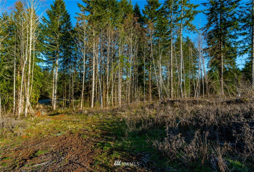3899 State Route 6, Chehalis, Washington 98532, ,Land,For Sale,State Route 6,NWM1853097