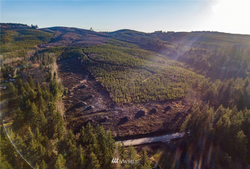 3899 State Route 6, Chehalis, Washington 98532, ,Land,For Sale,State Route 6,NWM1853097