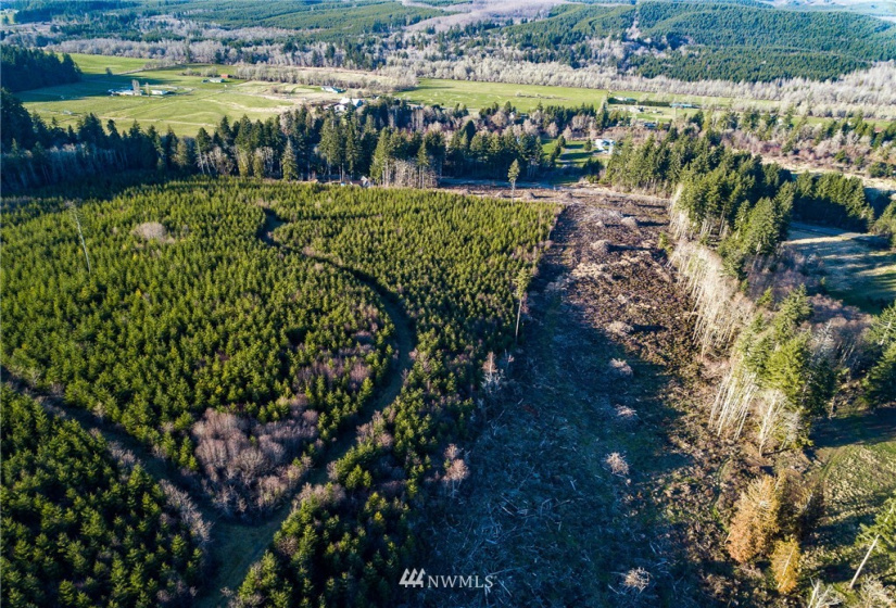 3899 State Route 6, Chehalis, Washington 98532, ,Land,For Sale,State Route 6,NWM1853097