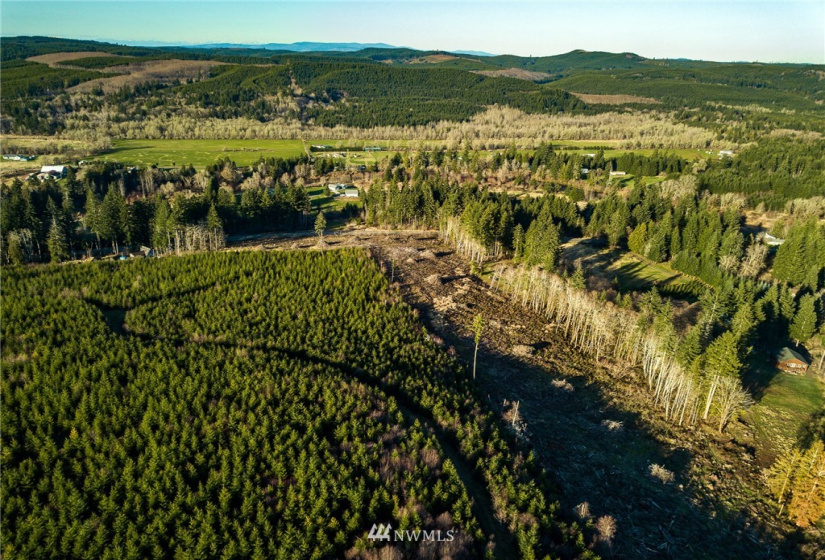 3899 State Route 6, Chehalis, Washington 98532, ,Land,For Sale,State Route 6,NWM1853097