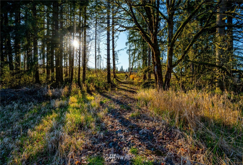 3899 State Route 6, Chehalis, Washington 98532, ,Land,For Sale,State Route 6,NWM1853097