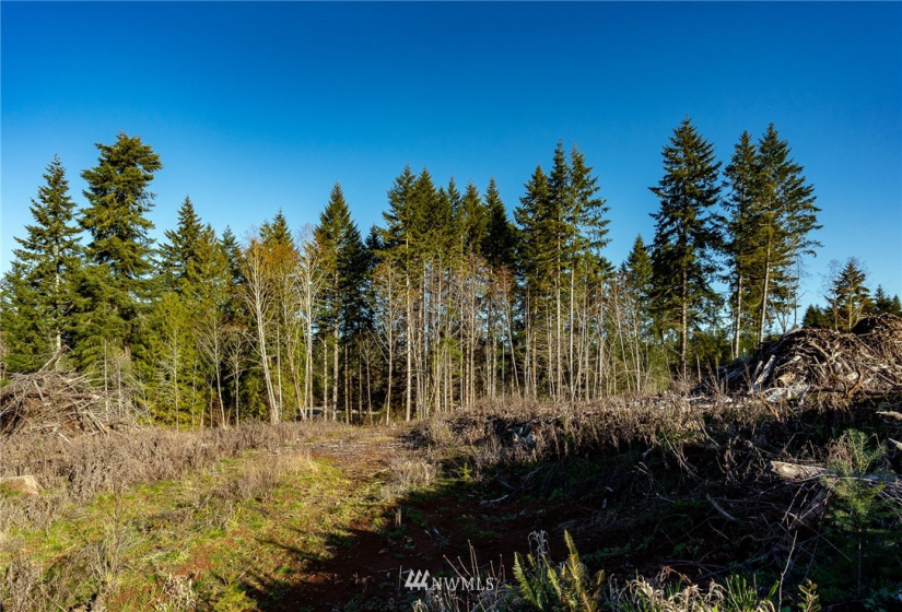 3899 State Route 6, Chehalis, Washington 98532, ,Land,For Sale,State Route 6,NWM1853097